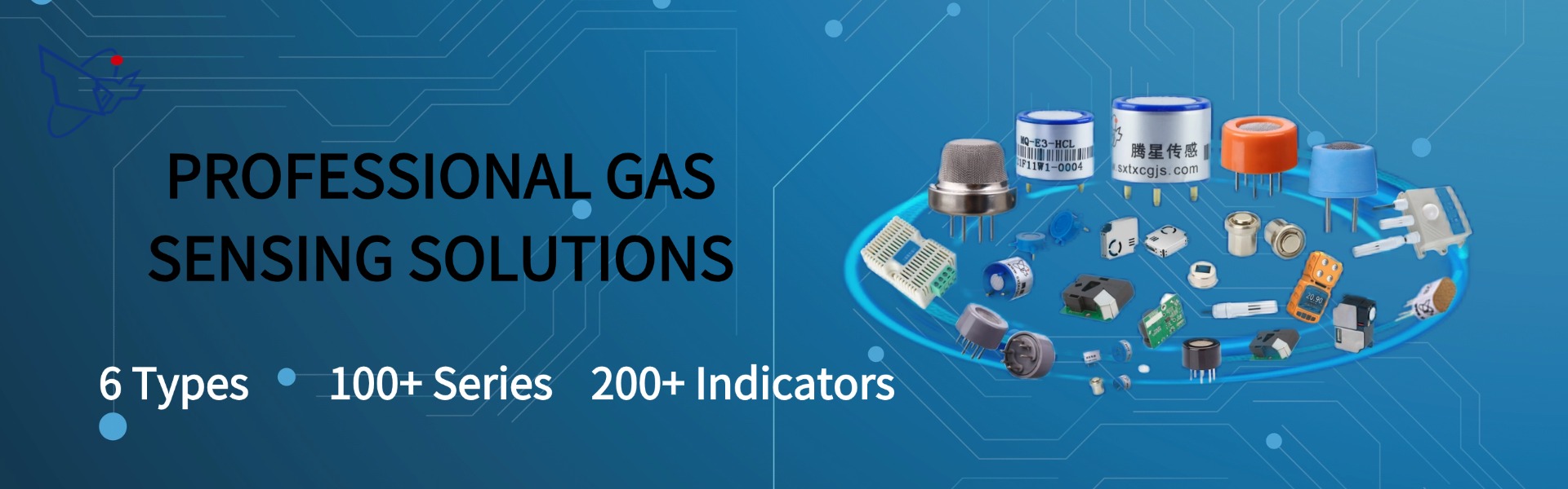 <span hidden>title</span>